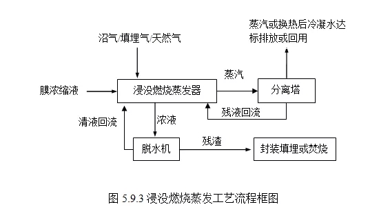 鑷浉孌嬫潃.webp.jpg